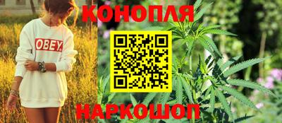 соль ск Будённовск